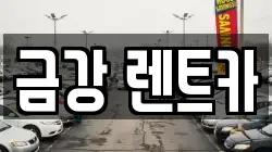 금강 렌트카