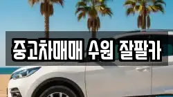 중고차매매 수원 잘팔카