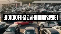 바이마이카중고차매매매입센터