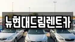 뉴현대드림렌트카