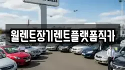 경기 수원시 팔달구 구천동 렌트카,단기렌트카,장기렌트카,중고차,중고차매매,중고차매입