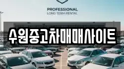수원중고차매매사이트