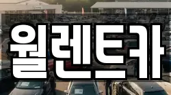 경기 수원시 팔달구 장안동 렌트카,단기렌트카,장기렌트카,중고차,중고차매매,중고차매입