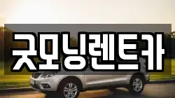 굿모닝렌트카