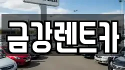 경기 수원시 팔달구 화서동 렌트카,단기렌트카,장기렌트카,중고차,중고차매매,중고차매입