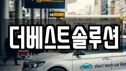 더베스트솔루션