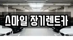 스마일 장기렌트카