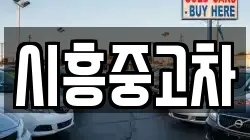시흥중고차