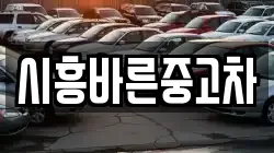시흥바른중고차