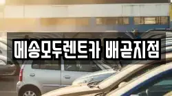 메송모두렌트카 배곧지점