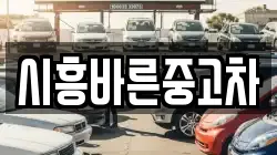 시흥바른중고차