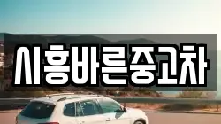 시흥바른중고차
