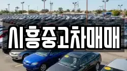 시흥중고차매매