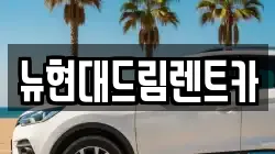 뉴현대드림렌트카