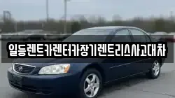 경기 시흥시 하상동 렌트카,단기렌트카,장기렌트카,중고차,중고차매매,중고차매입