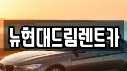 뉴현대드림렌트카