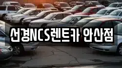 경기 안산시 단원구 고잔동 렌트카,단기렌트카,장기렌트카,중고차,중고차매매,중고차매입