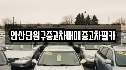 안산단원구중고차매매중고차팔카
