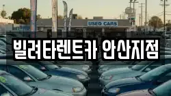 경기 안산시 단원구 목내동 렌트카,단기렌트카,장기렌트카,중고차,중고차매매,중고차매입