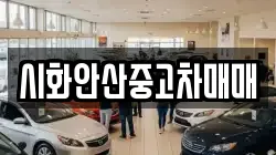 시화안산중고차매매