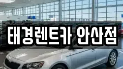 경기 안산시 단원구 와동 렌트카,단기렌트카,장기렌트카,중고차,중고차매매,중고차매입