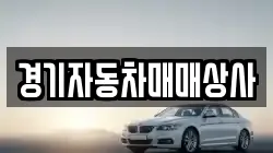 경기자동차매매상사