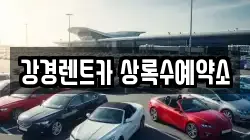 경기 안산시 상록구 본오동 렌트카,단기렌트카,장기렌트카,중고차,중고차매매,중고차매입