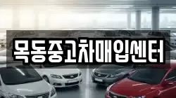 목동중고차매입센터