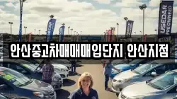 안산중고차매매매입단지 안산지점