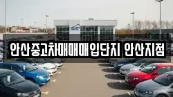 안산중고차매매매입단지 안산지점