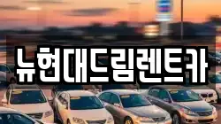 뉴현대드림렌트카