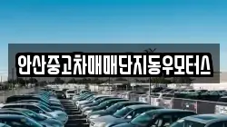 안산중고차매매단지동우모터스