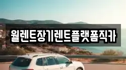 경기 안성시 가사동 렌트카,단기렌트카,장기렌트카,중고차,중고차매매,중고차매입