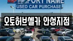 오토허브셀카 안성지점