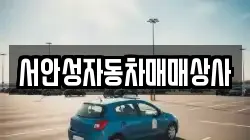 서안성자동차매매상사