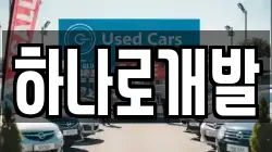 하나로개발