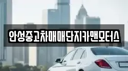 안성중고차매매단지카맨모터스