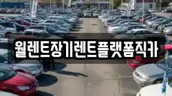 월렌트장기렌트플랫폼직카