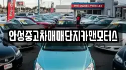 안성중고차매매단지카맨모터스