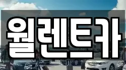 월렌트카