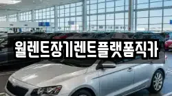경기 안성시 신흥동 렌트카,단기렌트카,장기렌트카,중고차,중고차매매,중고차매입