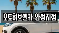오토허브셀카 안성지점