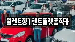 월렌트장기렌트플랫폼직카
