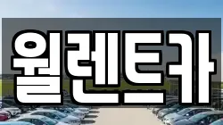 월렌트카