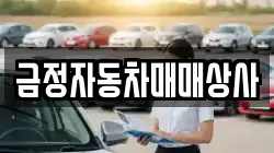 금정자동차매매상사