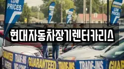 현대자동차장기렌터카리스