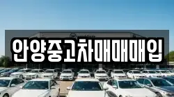 안양중고차매매매입