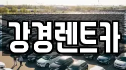 강경렌트카