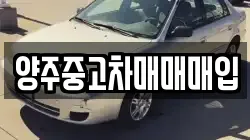 양주중고차매매매입