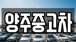 양주중고차